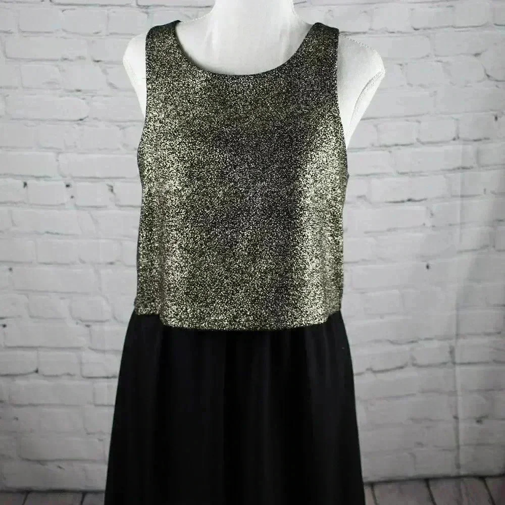 Everly Gold Topped Black A-Line Dress